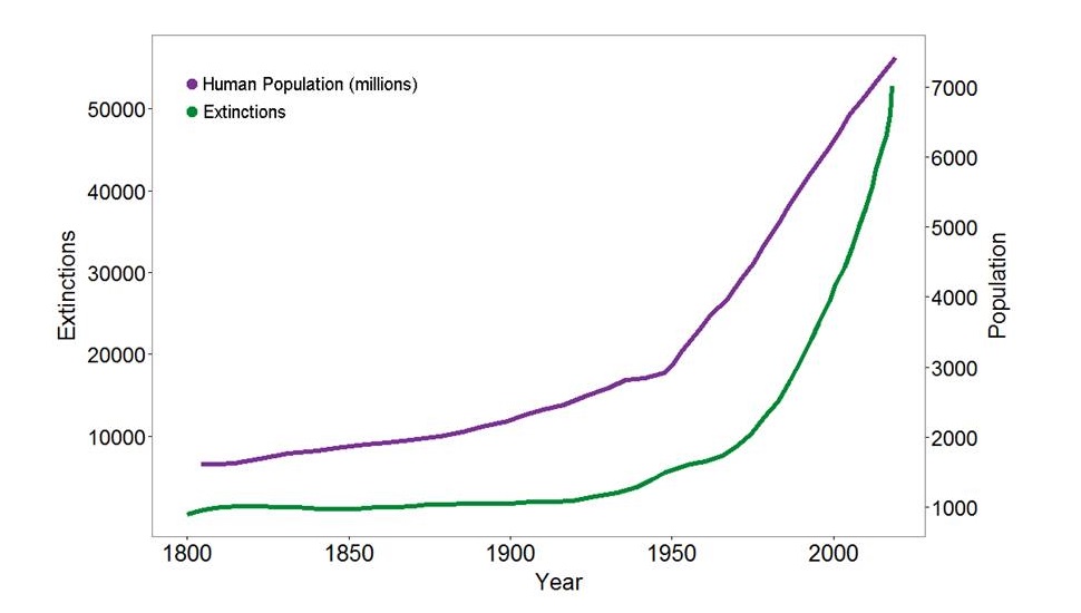 Population vs Extinction